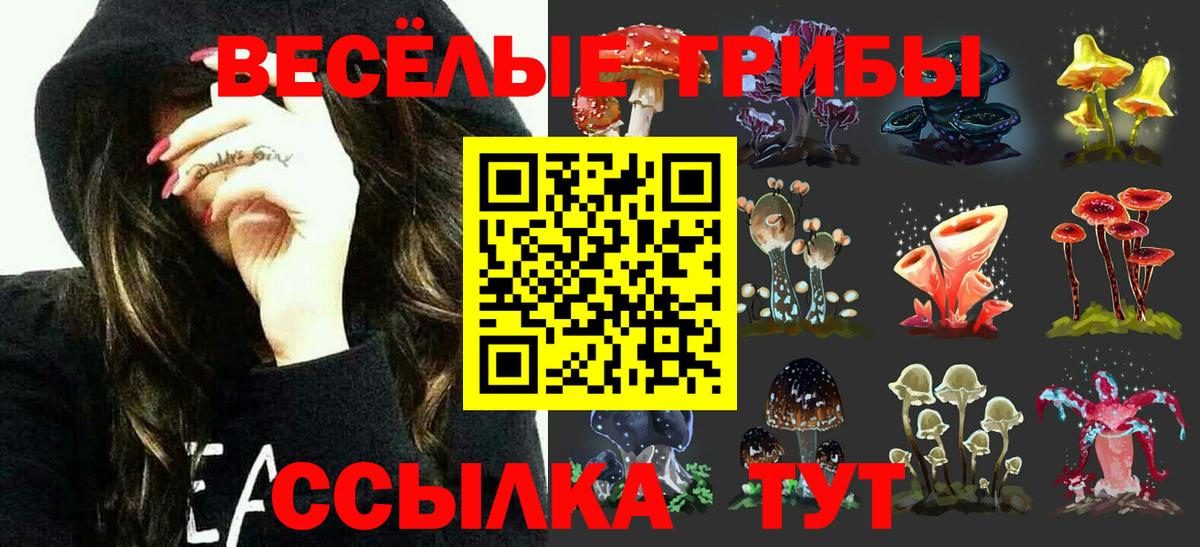 Псилоцибиновые грибы мицелий  Вход с VPN  Кольчугино 